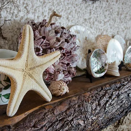 Seaside Holiday - Unique Location *