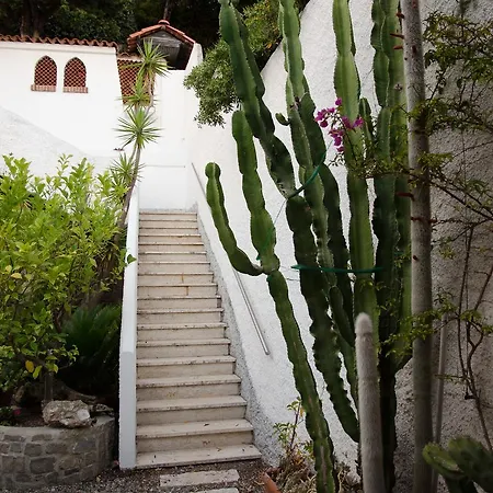 Seaside Holiday - Unique Location Holiday home Cipressa